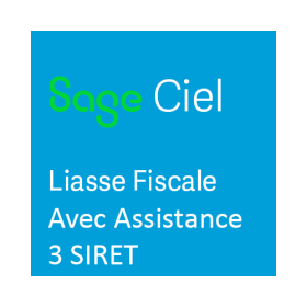 CIEL Liasse Fiscale 2024...